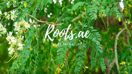#The Benefits of Moringa