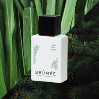 Pine Tree & Vetiver Parfum